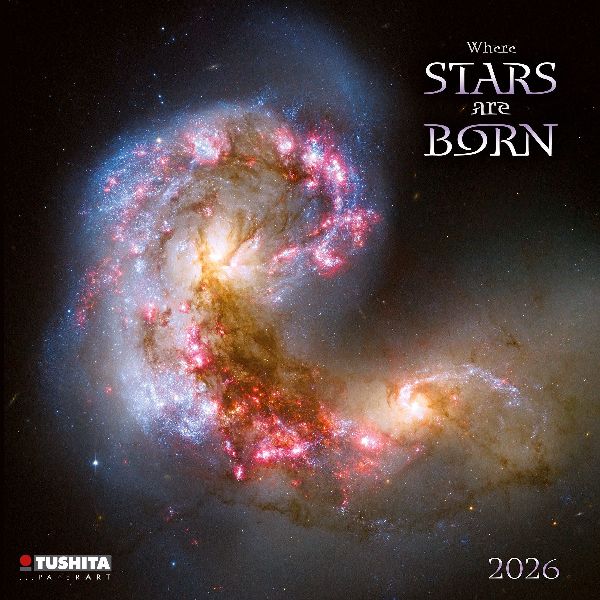 Where Stars are Born 2026