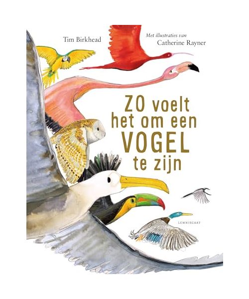 Zo voelt het om een vogel te zijn