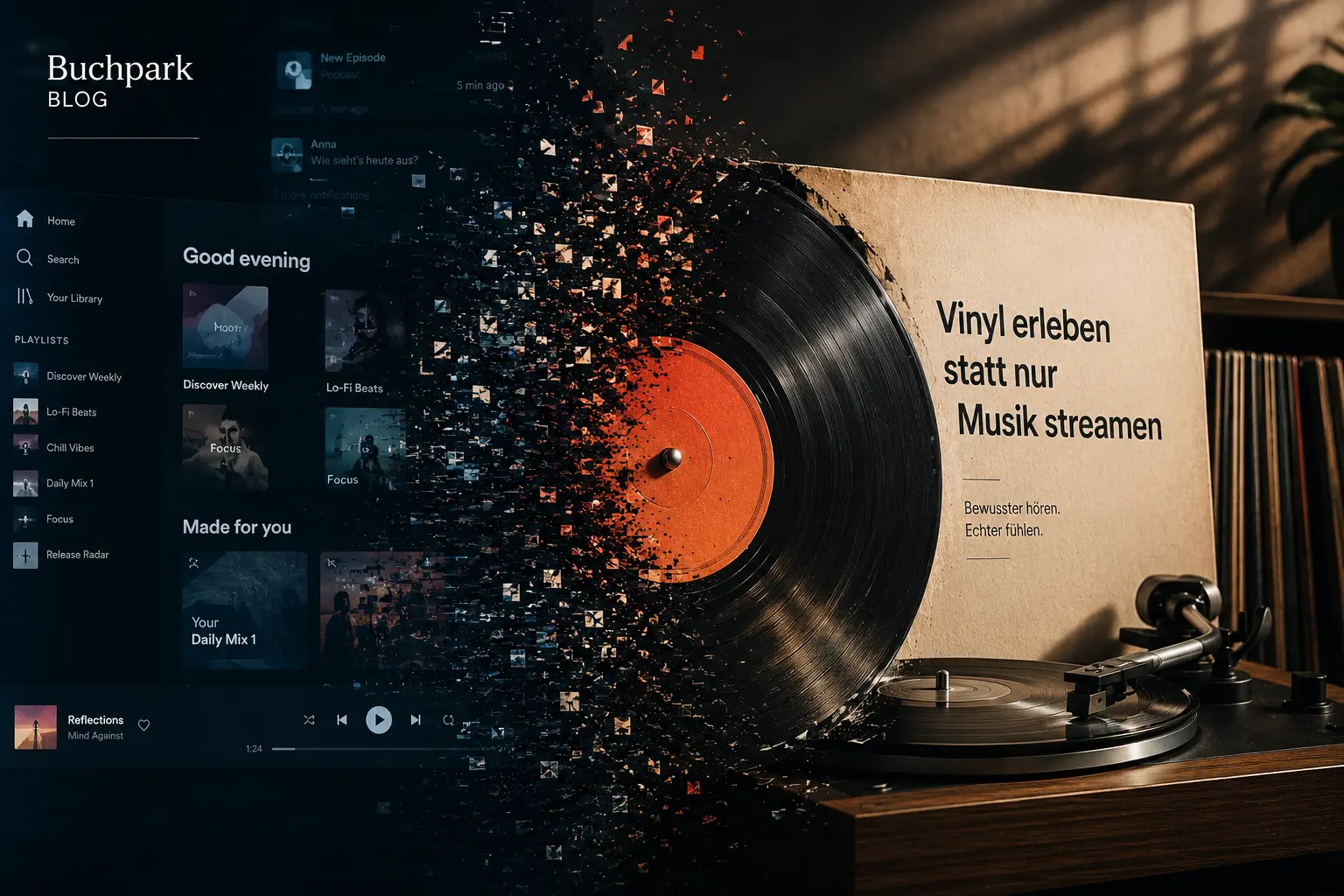 Vinyl erleben statt nur Musik streamen