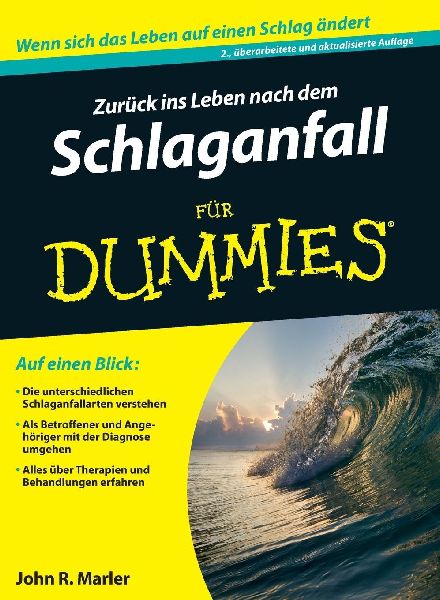 Zurück ins Leben nach dem Schlaganfall für Dummies
