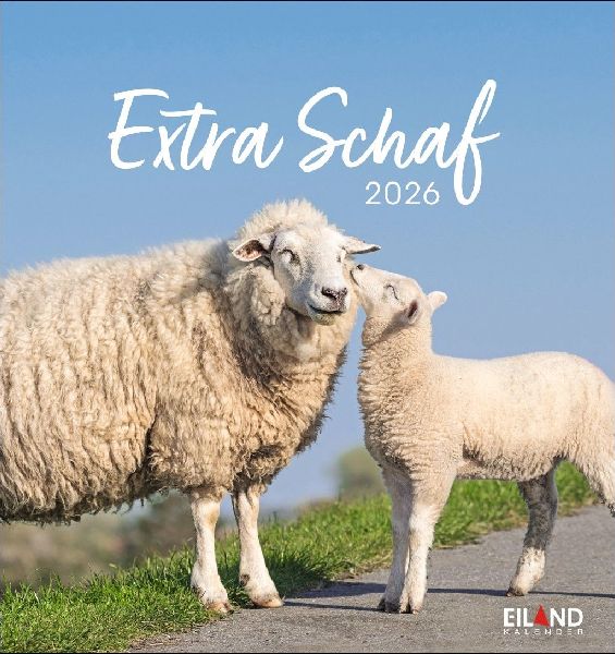 Extra Schaf Postkartenkalender 2026