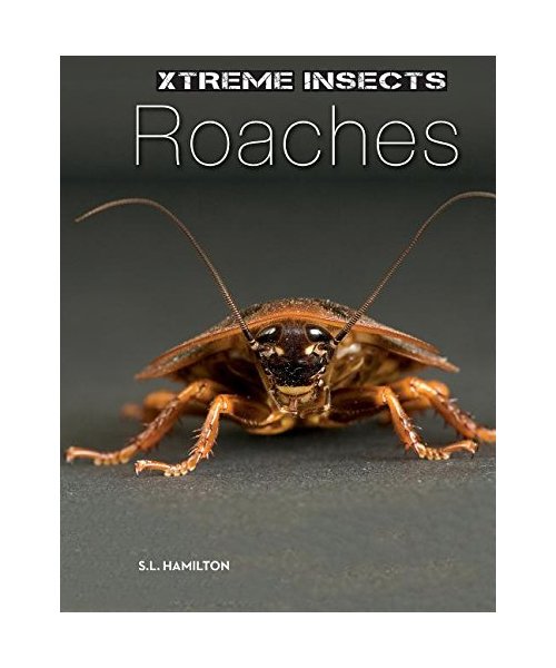 Roaches