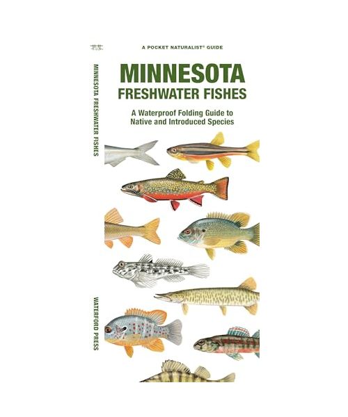Minnesota Freshwater Fishes: A Waterproof Folding Guide to Native and Introduced Species