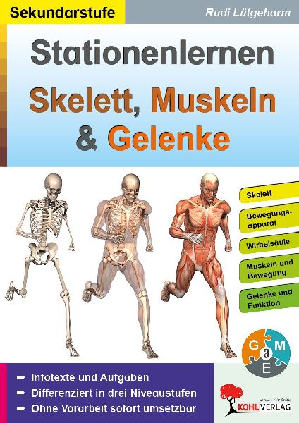 Stationenlernen Skelette, Muskeln & Gelenke