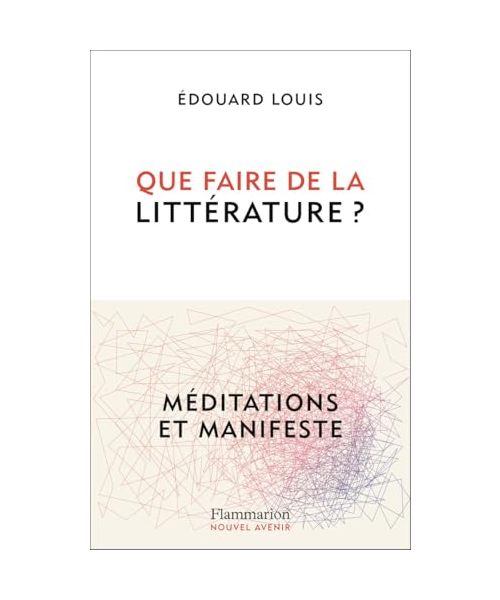 Que faire de la littérature ?: Méditations et Manifeste