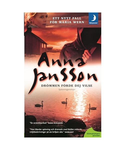 Drömmen förde dej vilse (Maria Wern, Band 11)