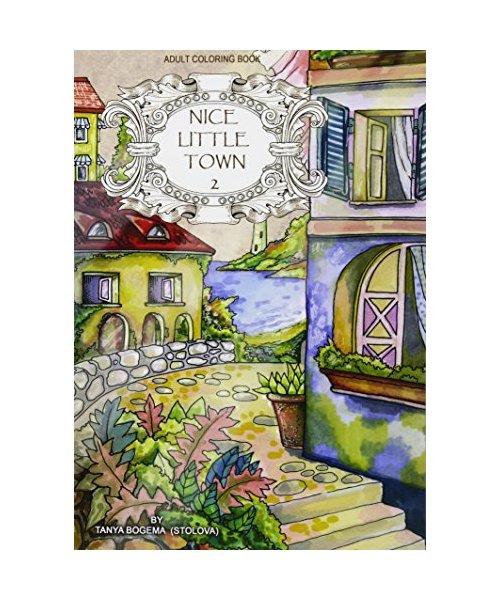 Adult Coloring Book: Nice Little Town