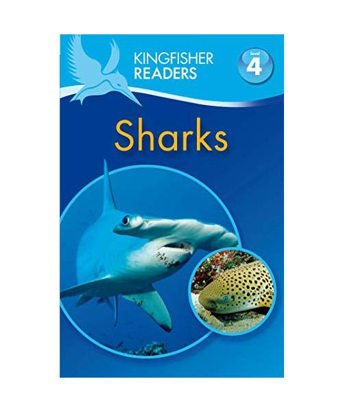 Kingfisher Readers