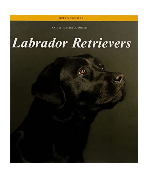 Labrador Retrievers