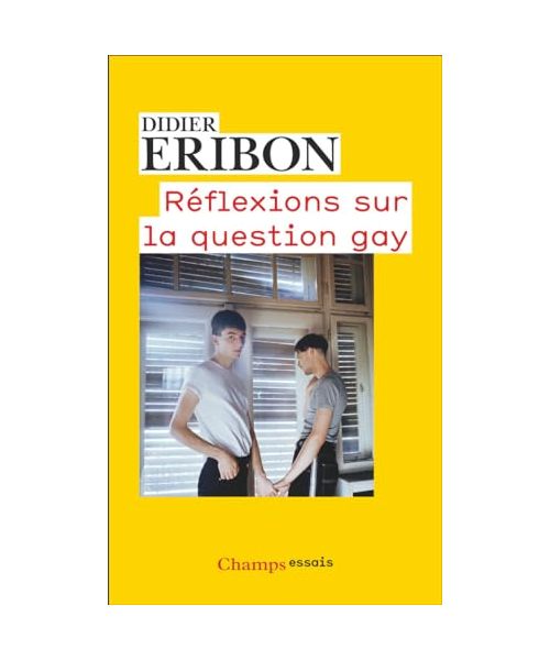 Réflexions sur la question gay