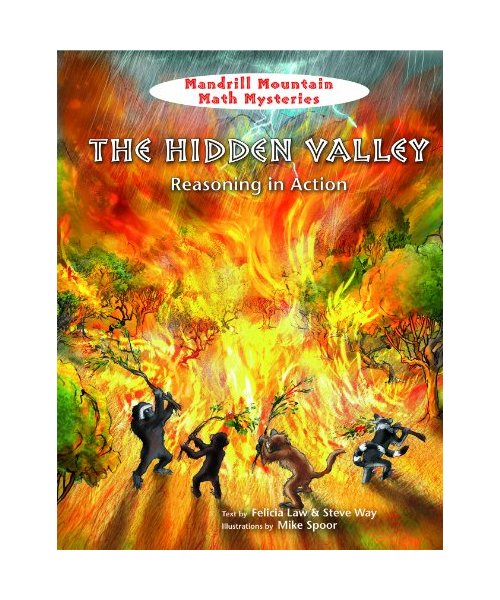 The Hidden Valley: Reasoning in Action