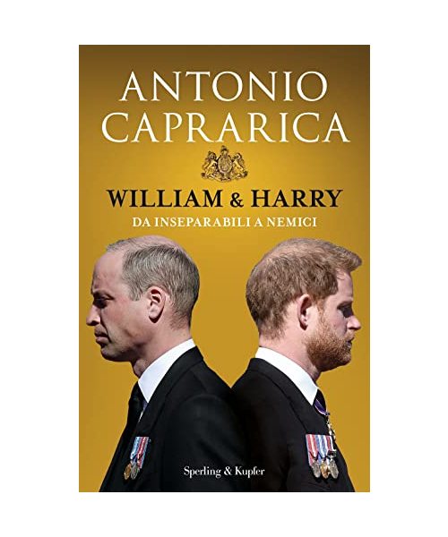William & Harry. Da inseparabili a nemici