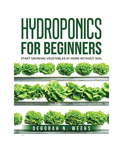 Hydroponics for Beginners: Start Growing Vegetables at Home Without Soil