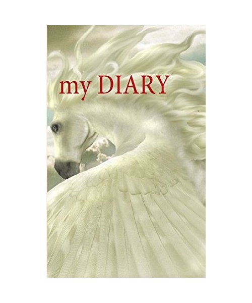MEIN TAGEBUCH - MY DIARY