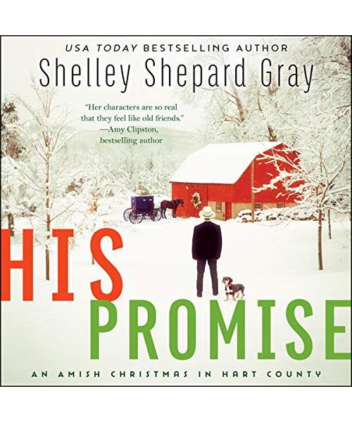 His Promise: An Amish Christmas in Hart County