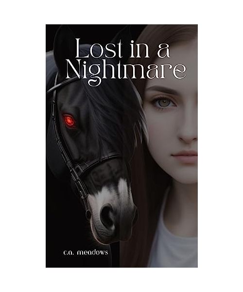 Lost in a Nightmare