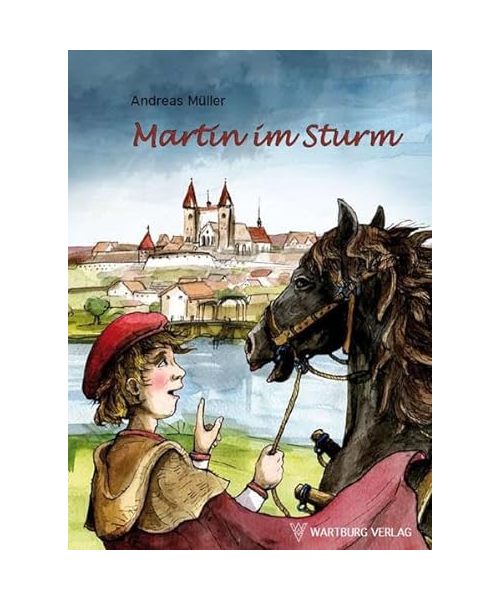 Martin im Sturm
