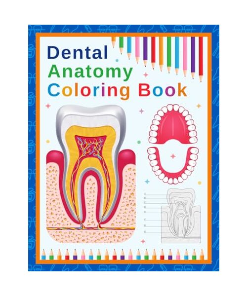 Dental Anatomy Coloring Book: A coloring book designed to teach dental anatomy, including teeth and oral structures, to medical and nursing students, featuring many more fun facts.