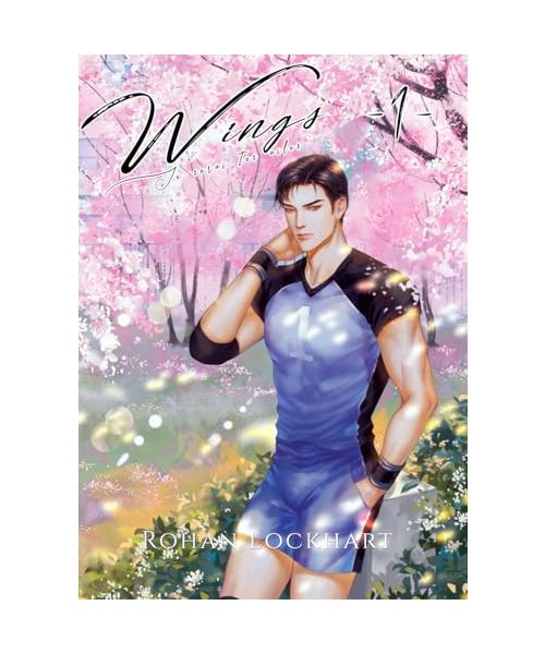 Wings #1: Romance Sportive MM (Je serai tes ailes, Band 1)