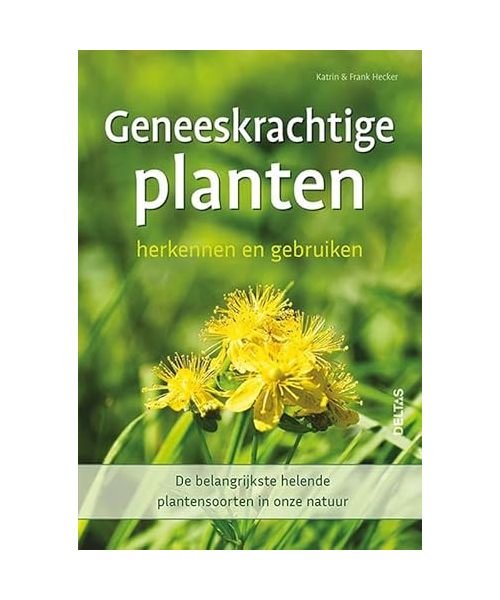 Geneeskrachtige planten herkennen en gebruiken: De belangrijkste helende plantensoorten in onze natuur