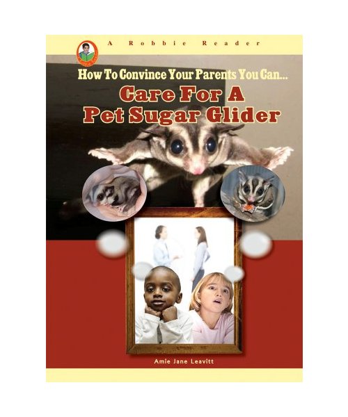 Care for a Pet Sugar Glider