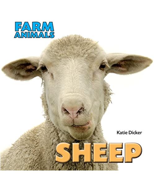 Farm Animals: Sheep