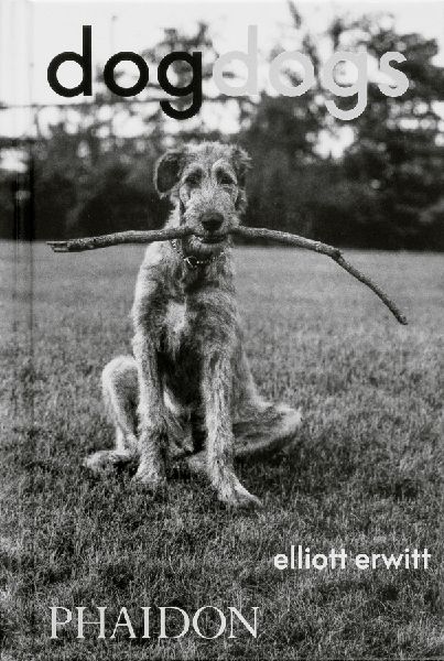 Dogdogs