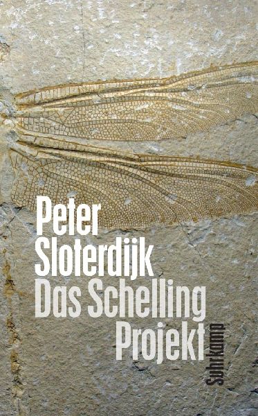 Das Schelling-Projekt