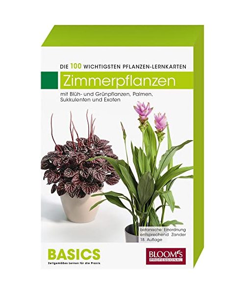 Zimmerpflanzen
