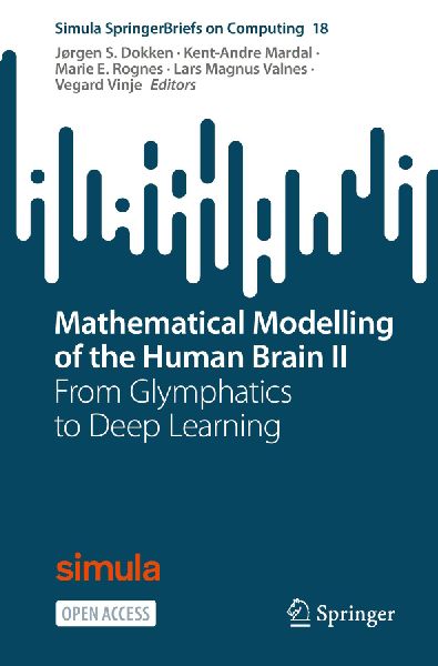 Mathematical Modelling of the Human Brain II