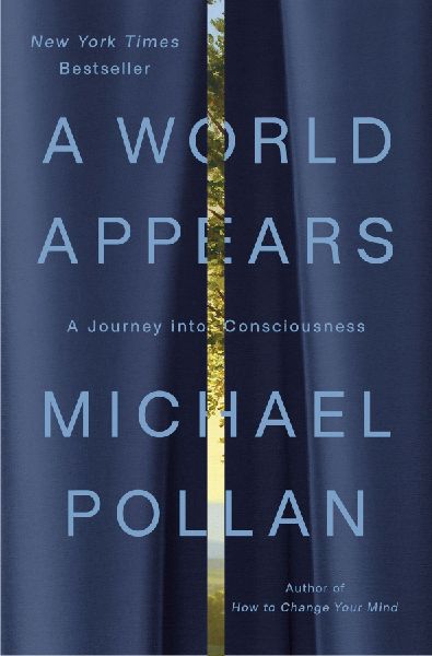 A World Appears