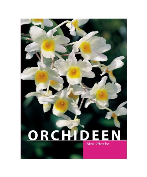 Orchideen.