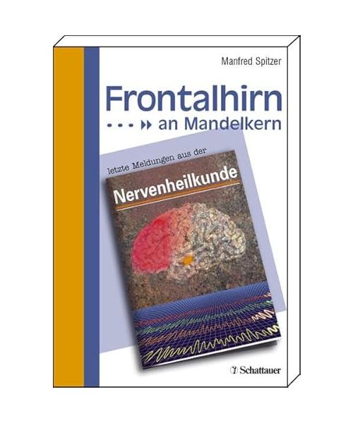 Frontalhirn an Mandelkern