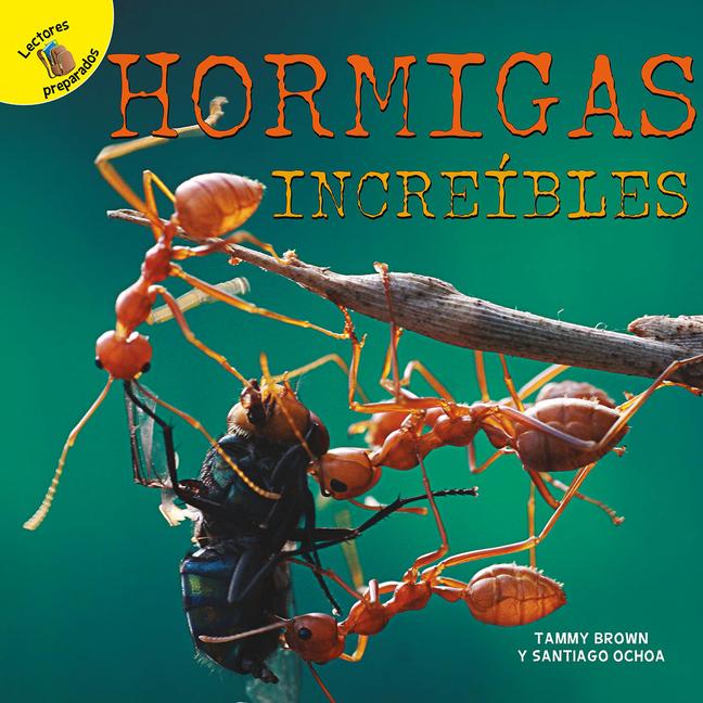 Hormigas increibles