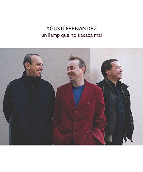 Un Llamp Que No S'acaba Mai (2007)