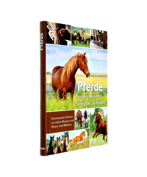 Pferde