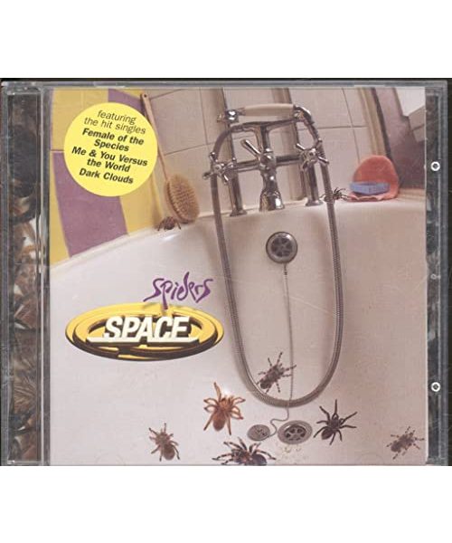 Spiders