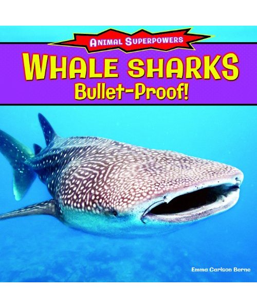 Whale Sharks: Bulletproof!