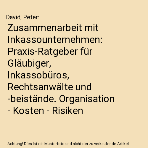 Zusammenarbeit mit Inkassounternehmen: Praxis-Ratgeber für Gläubiger, Inkassobüros, Rechtsanwälte und -beistände. Organisation - Kosten - Risiken