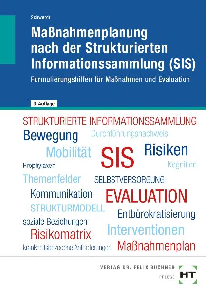 eBook inside: Buch und eBook Maßnahmenplanung nach der Strukturierten Informationssammlung (SIS)