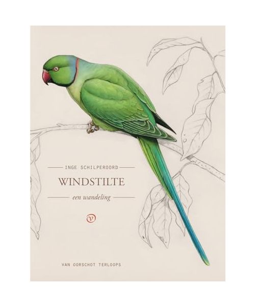 Windstilte: een wandeling (Terloops)