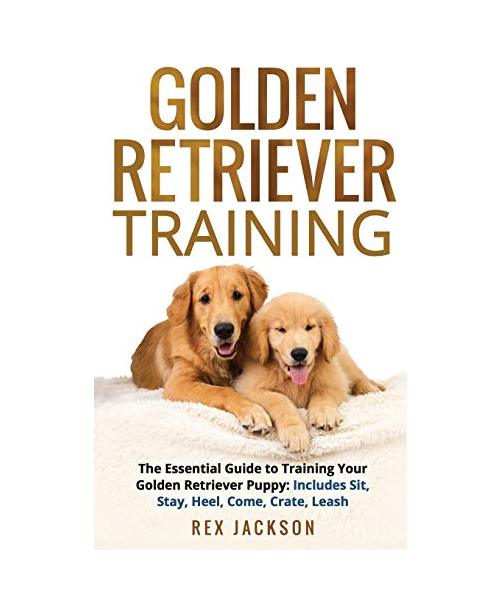 Golden Retriever Training: The Essential Guide to Training Your Golden Retriever Puppy: Includes Sit, Stay, Heel, Come, Crate, Leash