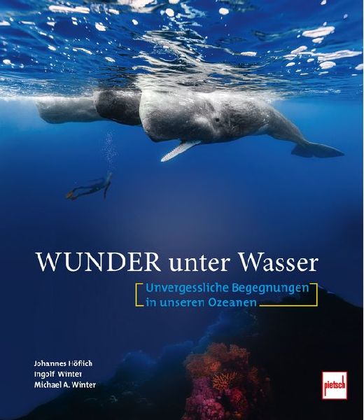 Wunder unter Wasser