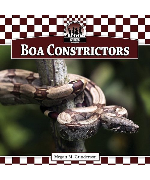 Boa Constrictors