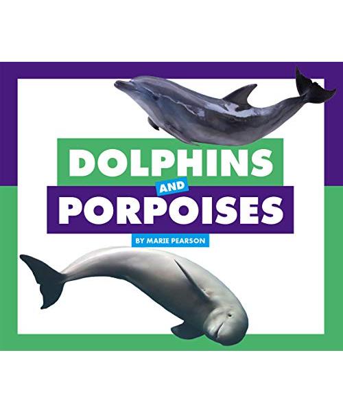 Dolphins and Porpoises