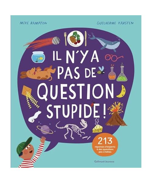Il n'y a pas de question stupide !: 213 réponses d'experts à des questions pas si bêtes