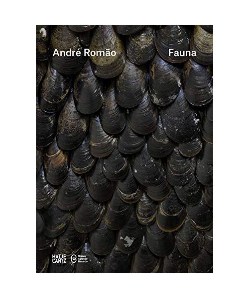 André Romão