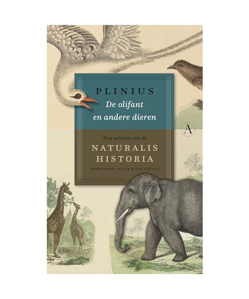 De olifant en andere dieren: een selectie uit de Naturalis Historia