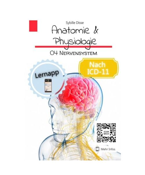 Anatomie & Physiologie Band 04: Nervensystem