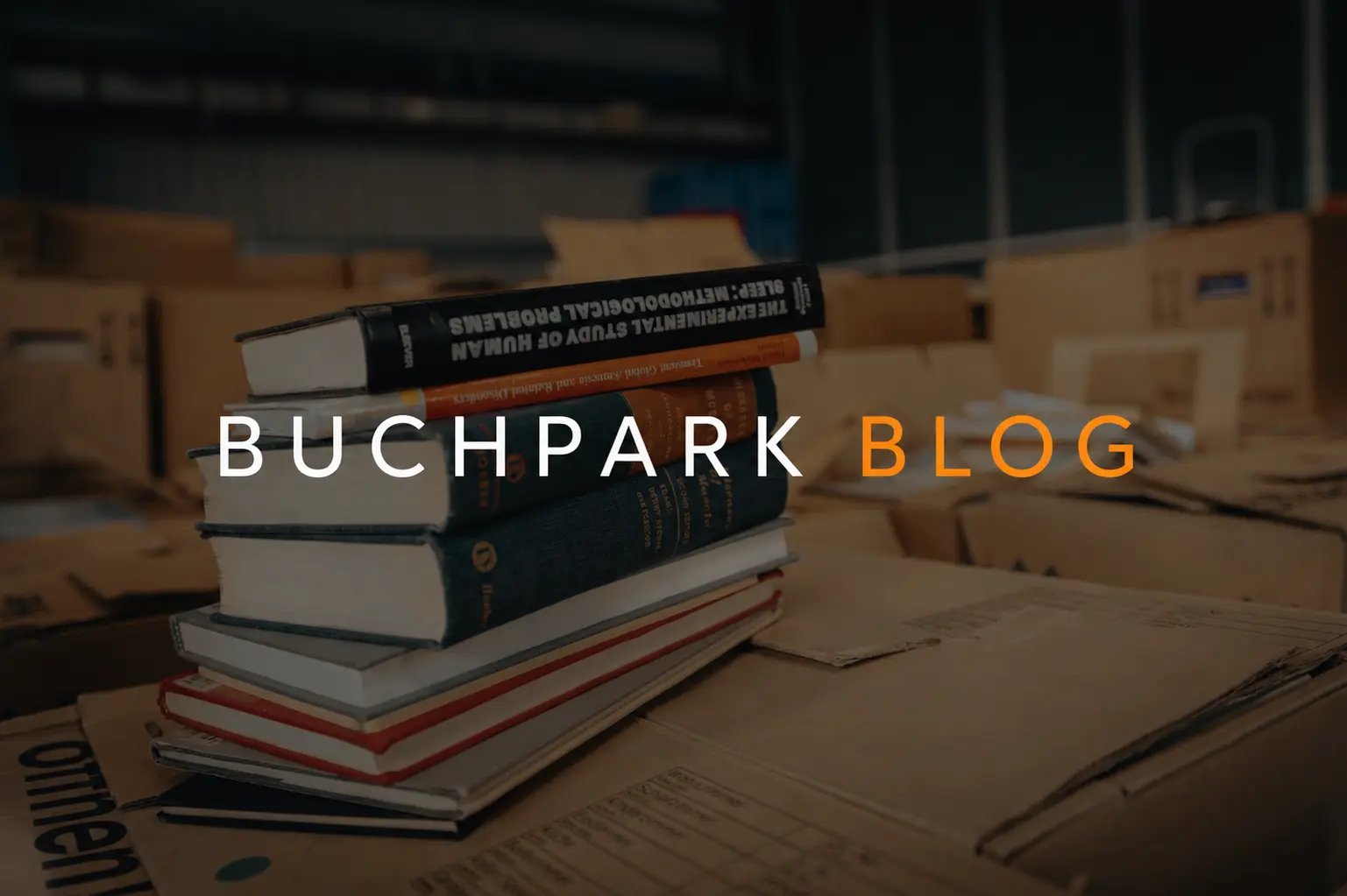 Lesen im digitalen Alltag